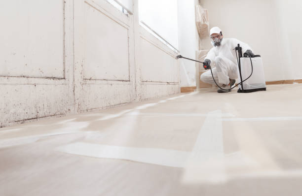 24/7 Emergency Basement Mold Remediation experts in Hawthorne, NY